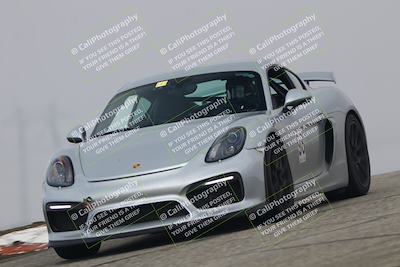 media/Nov-21-2025-Audi Club (Fri) [[8110d52e1e]]/Open Track Photos/3 Grapevine/